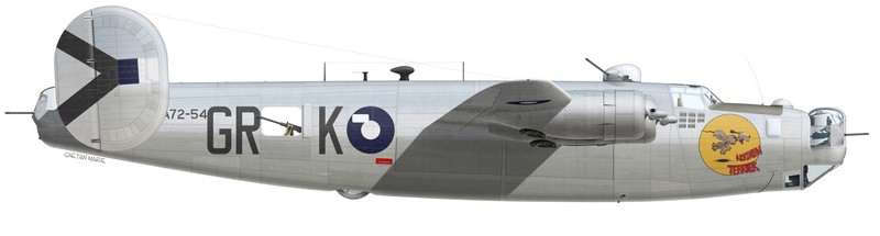B-24J-200-CO "Northern Terrier" (s/n 44-41196), A72-54 of No 24 Squadron RAAF, Fenton, spring 1945.